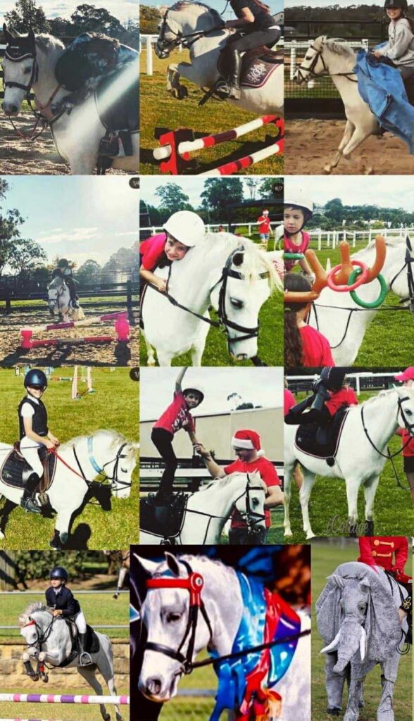 406b4e04-b8b2-436c-b3c3-b1c7d688d27a